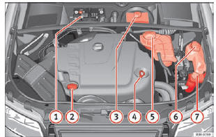 Seat Exeo. Abb. 233 Abbildung für die Einbaustellen der Elemente