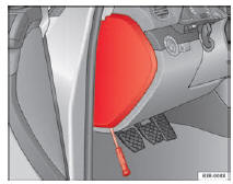 Seat Exeo. Abb. 188 Links in der Instrumententafel: Abdeckung des Sicherungskastens