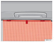 Seat Exeo. Abb. 97 Hochgezogenes Rollo an einer Fondtür